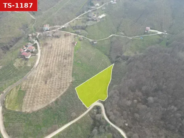 Satılık Tarla - Yeşilvadi Mahallesi, 3314 m²