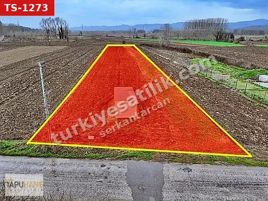 A. ÇALICADA YAPI KAYIT BELGELİ 2598 M2 ARSA İÇİNDE KONTEYNER