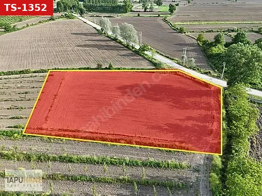 TAPUHANE'DEN AŞAGI ÇALICADA 3865 m2 ASFALT YOLA CEPHE SATILIK