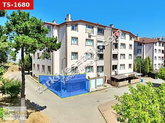 TAPUHANEDEN 50M2 AYAK ALTI KÖŞE İŞ YERİ