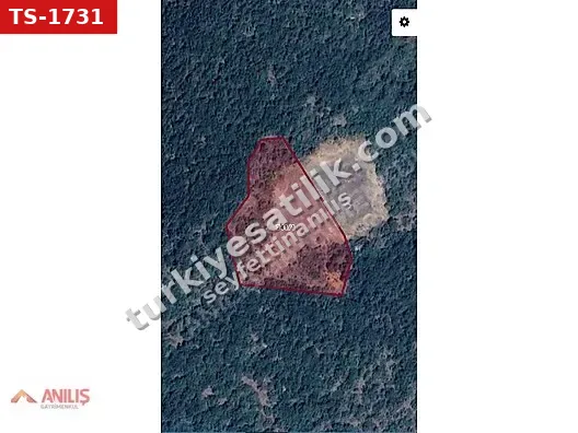 Bilecik Gülümbe'de Yatırımlık Tarla - 6053m²